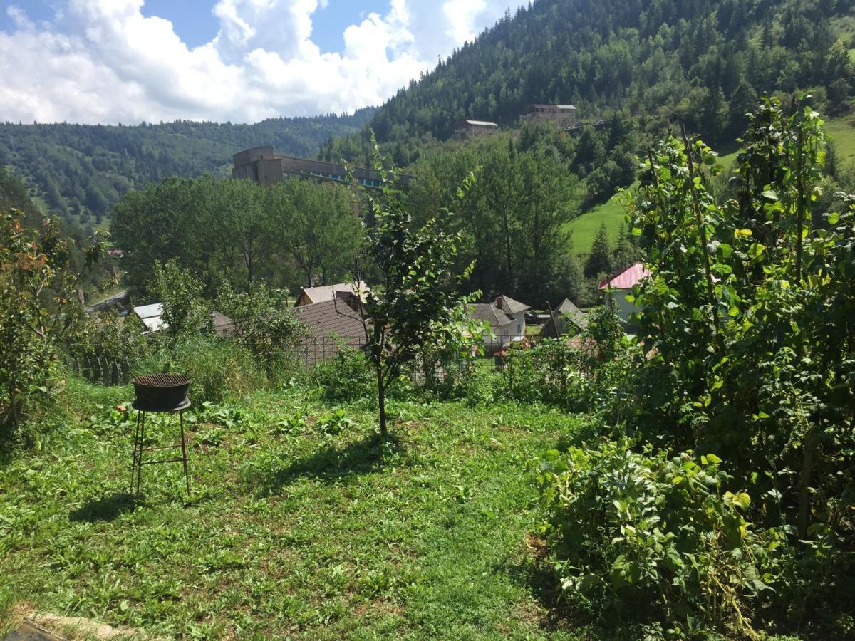Acasa In Bicaz-Chei - Camere De Inchiriat Cheile Bicazului Exteriör bild