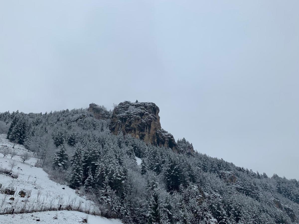 Acasa In Bicaz-Chei - Camere De Inchiriat Cheile Bicazului Exteriör bild