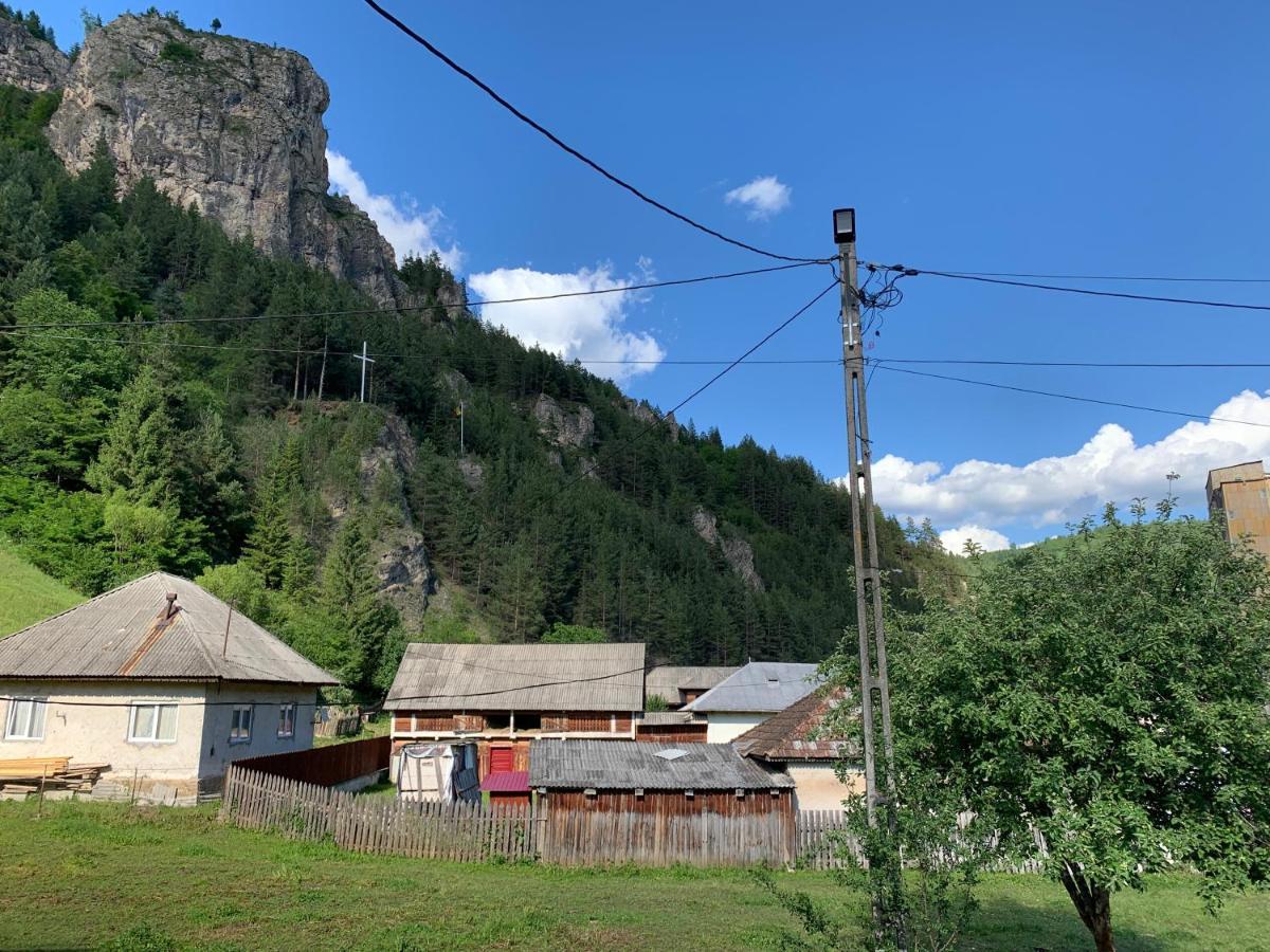 Acasa In Bicaz-Chei - Camere De Inchiriat Cheile Bicazului Exteriör bild